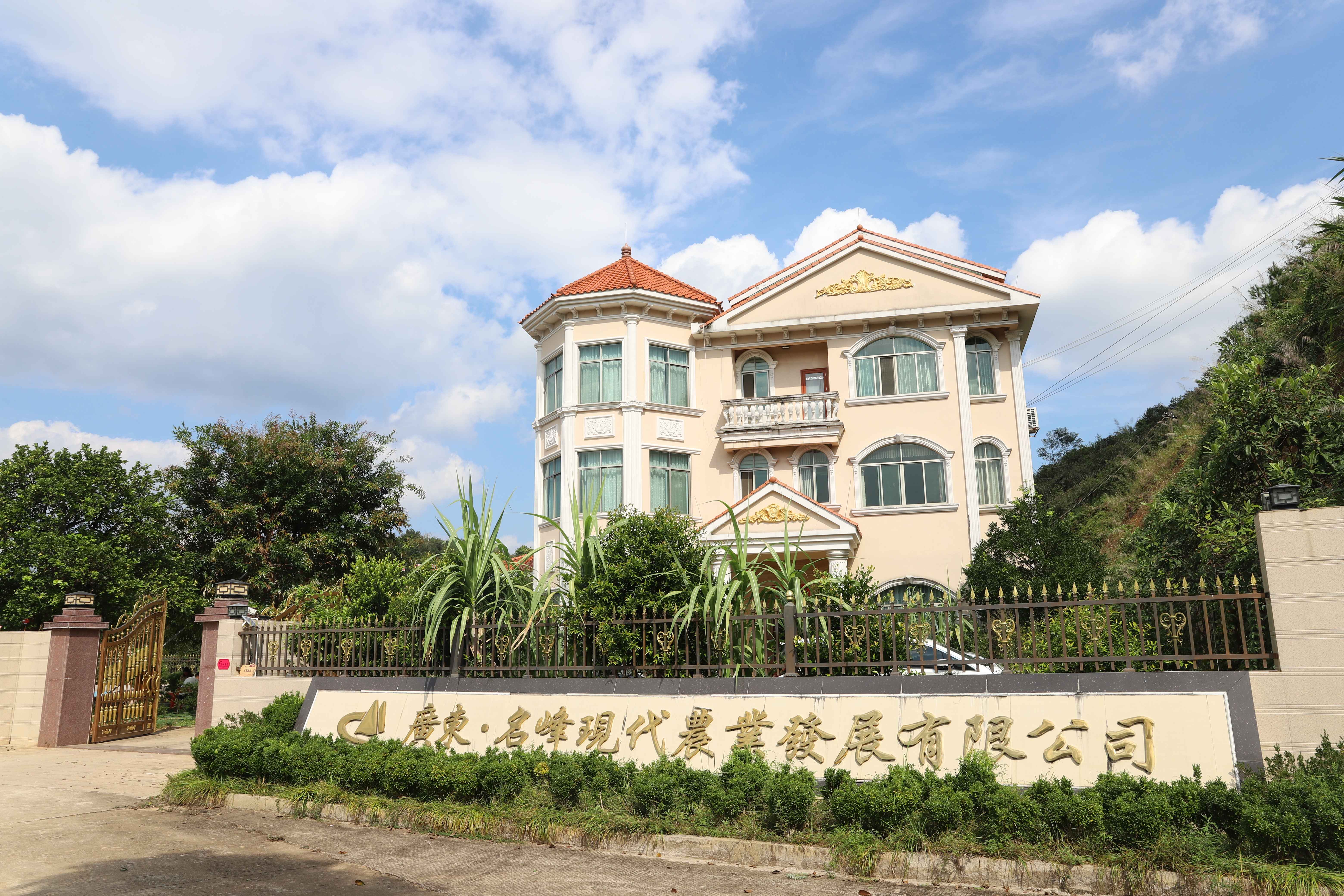 名峰創(chuàng)始人：用15年時(shí)間醞釀致富茶油