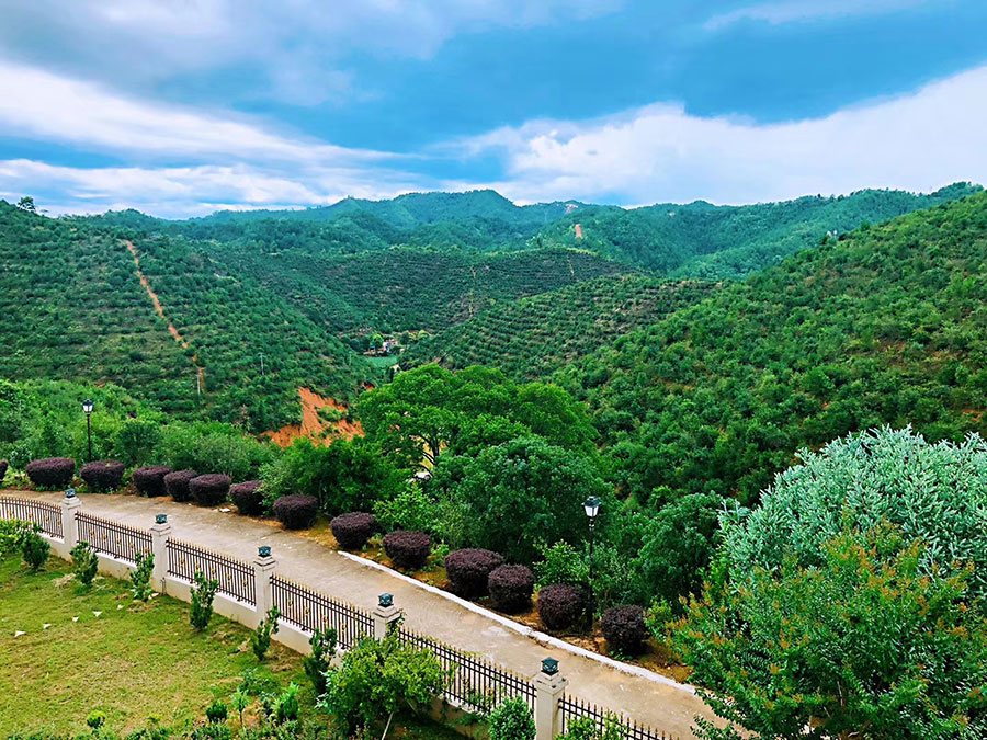 產(chǎn)業(yè)規(guī)模