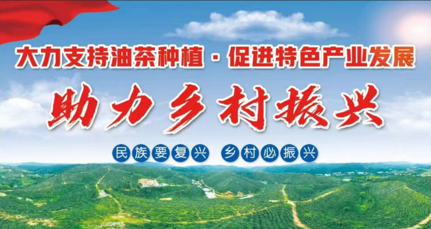 產(chǎn)業(yè)建設(shè)