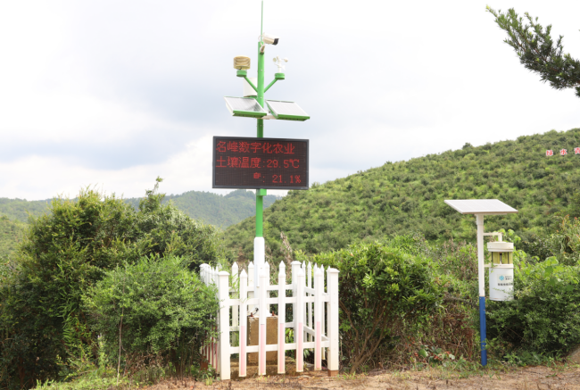 數(shù)字化建設(shè)