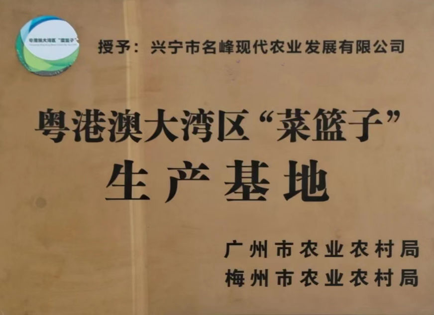 粵港澳大灣區(qū)“菜籃子”生產(chǎn)基地