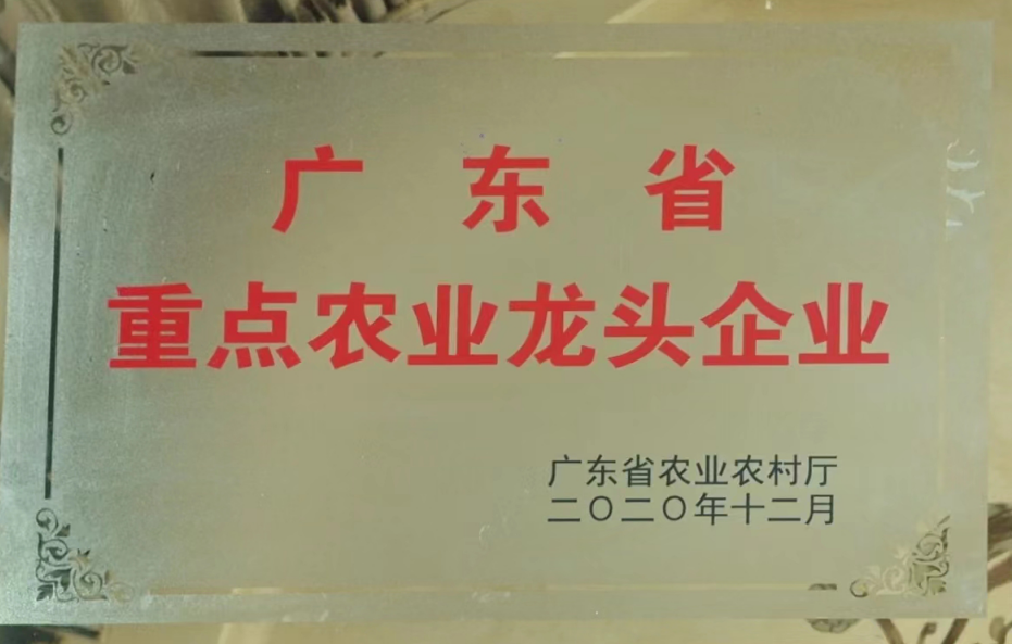 廣東省重點農(nóng)業(yè)龍頭企業(yè)