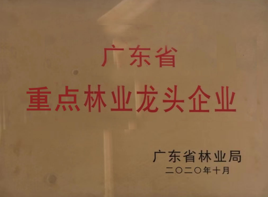 廣東省重點林業(yè)龍頭企業(yè)