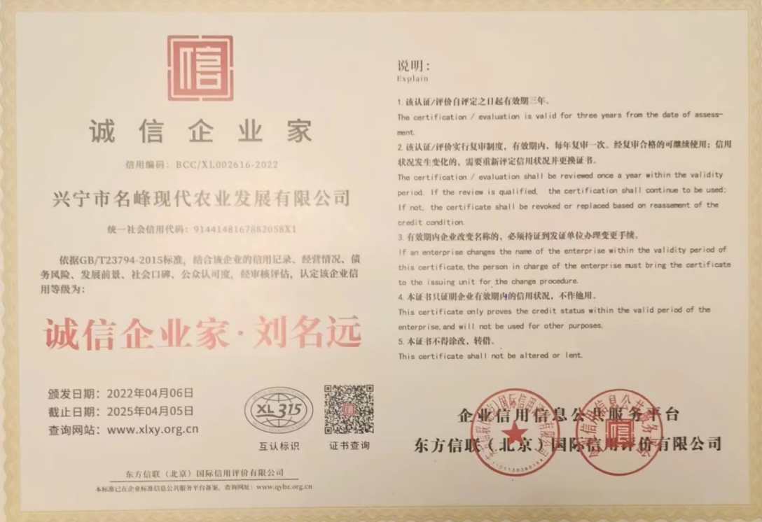 家庭及個(gè)人榮譽(yù)